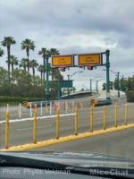 Disneyland-Disneyland-All-Lanes-Closed-Phyllis
