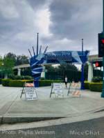 Disneyland-Disneyland-Resort-Closed-Phyllis