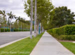 Disneyland-Drive-Empty