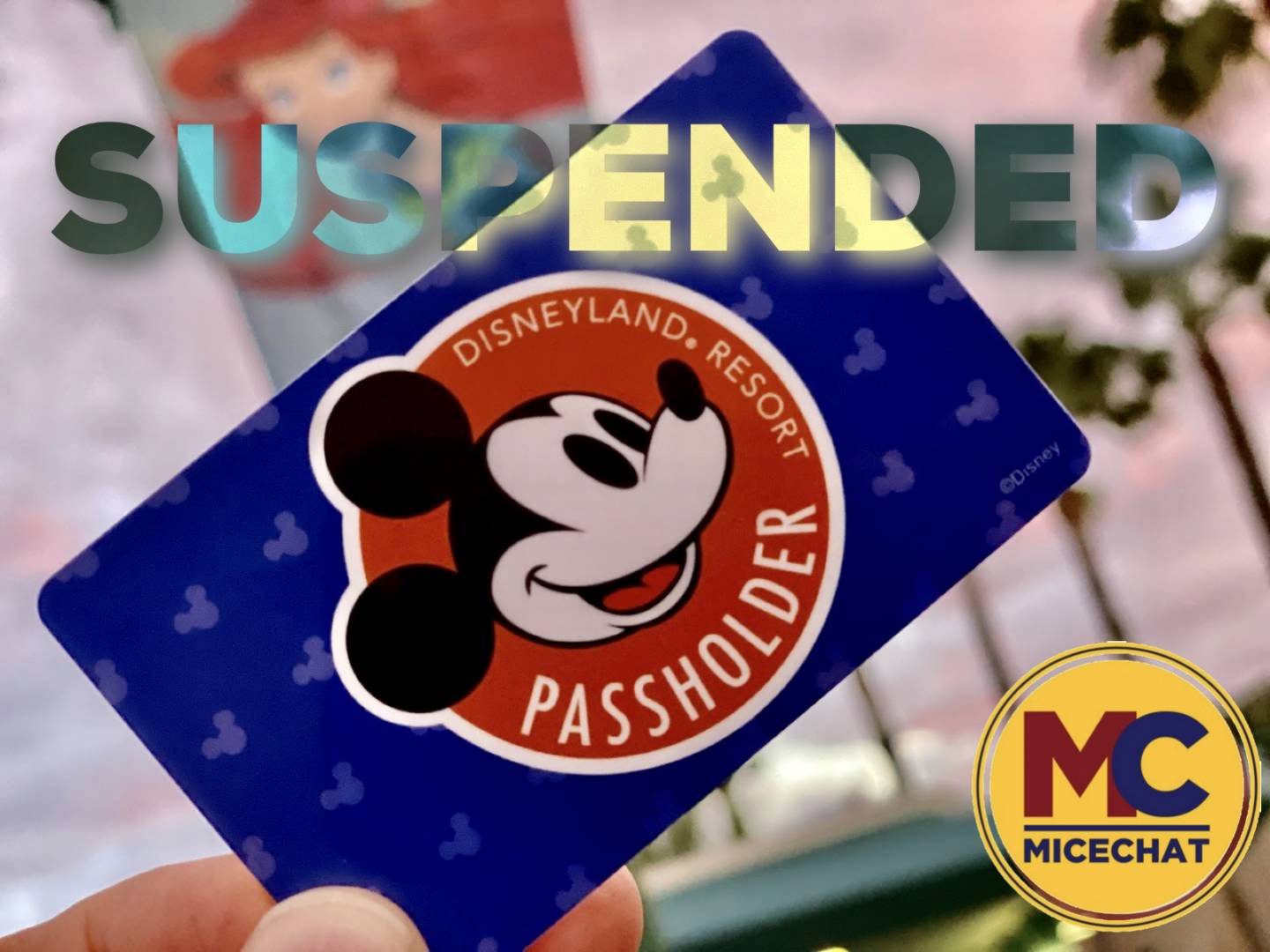 Disneyland and Walt Disney World Halt Annual Passport Monthly Payments
