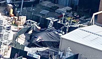 , Disneyland Update Gets High – Above the Parks & When They Could Reopen