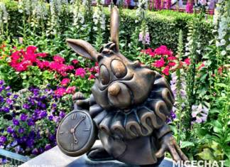 Disneyland Update – It’s About Time