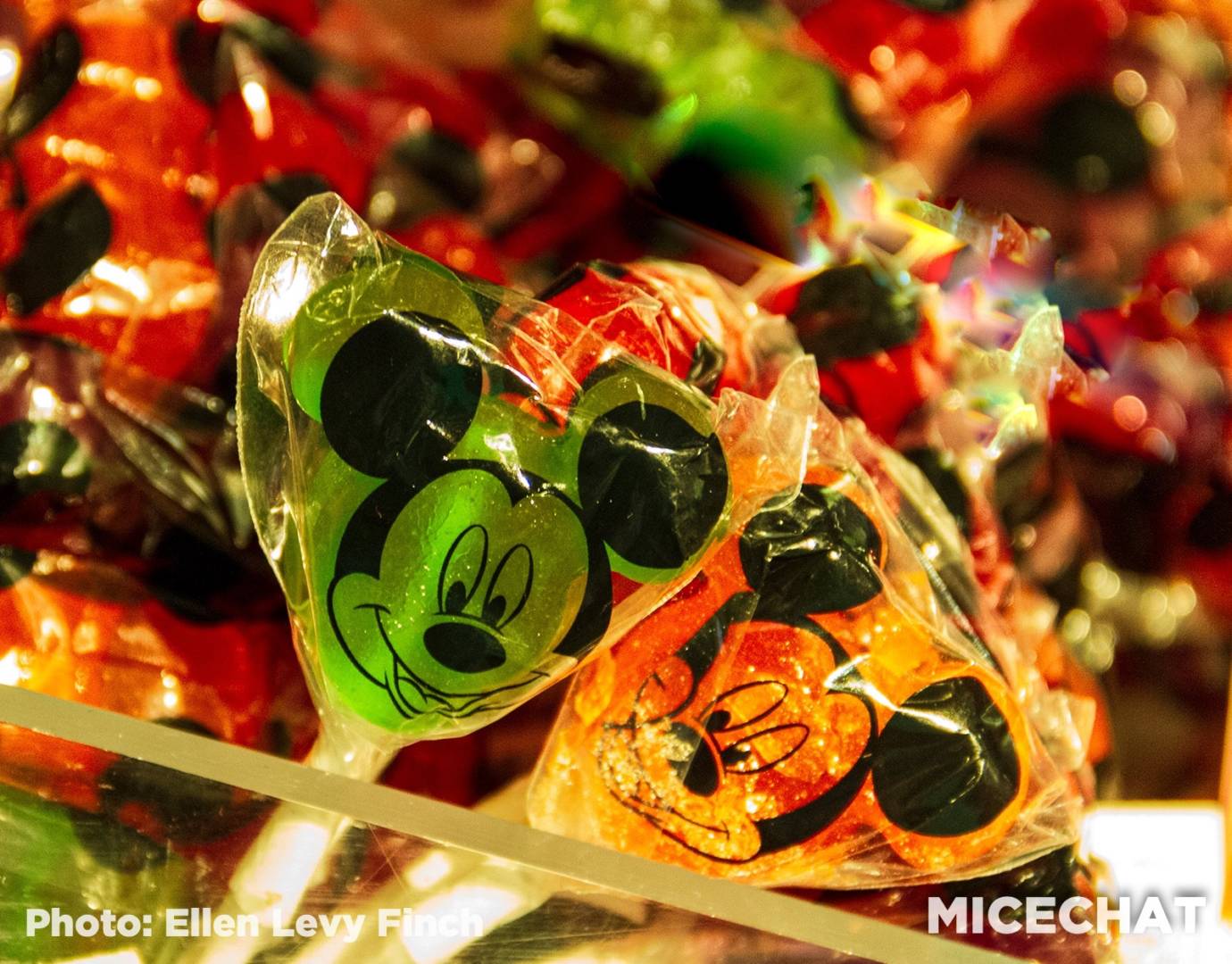 , Disneyland Update Gets High – Above the Parks & When They Could Reopen