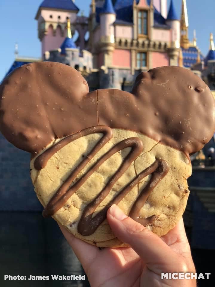 , Disneyland Update Gets High – Above the Parks & When They Could Reopen