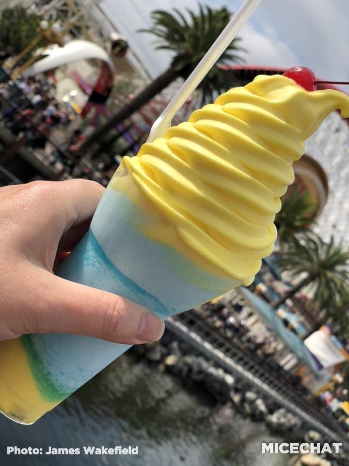 , Disneyland Update Gets High – Above the Parks & When They Could Reopen