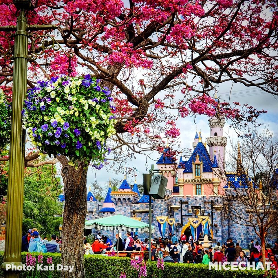 , Disneyland Update – It’s About Time