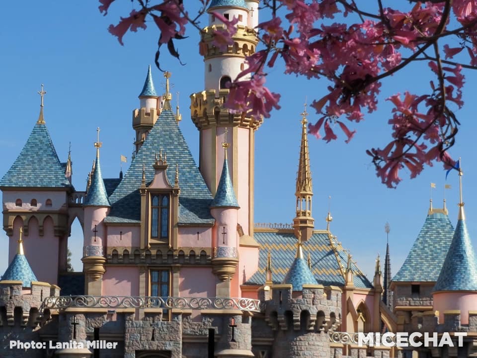 , Disneyland Update &#8211; It&#8217;s About Time