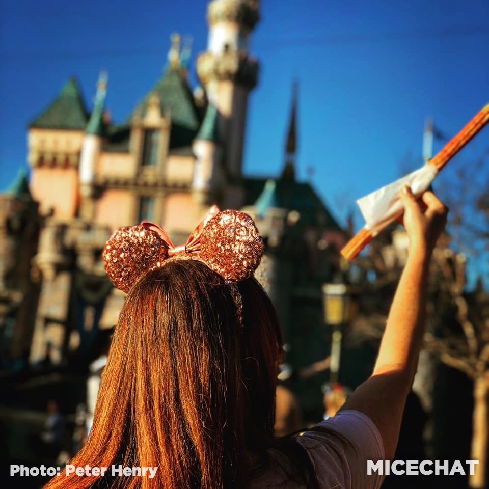 , Disneyland Update Gets High – Above the Parks & When They Could Reopen