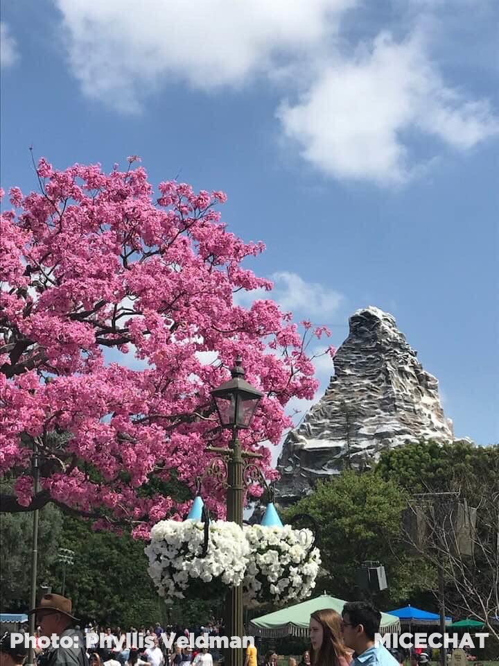 , Disneyland Update – It’s About Time