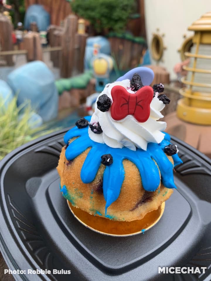 , Disneyland Update Gets High – Above the Parks & When They Could Reopen