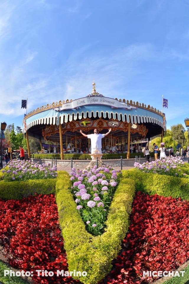 , Disneyland Update &#8211; It&#8217;s About Time