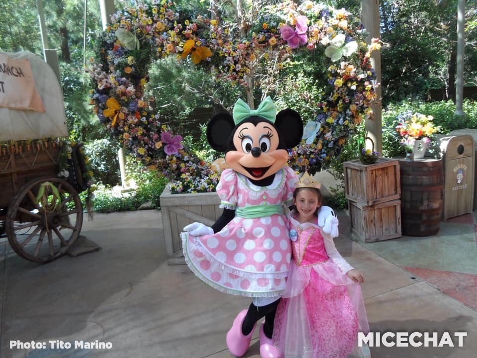 , Disneyland Update – It’s About Time