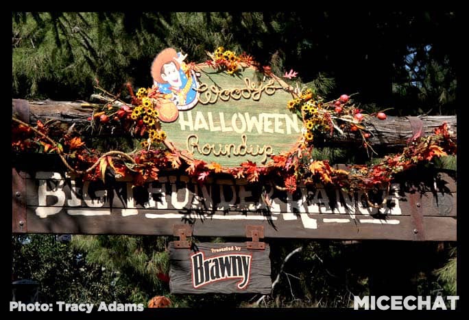 , Disneyland Update – Bob Iger and the Wild Frontier