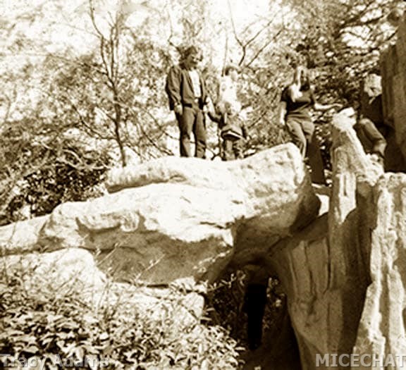 , Disneyland Update – Bob Iger and the Wild Frontier