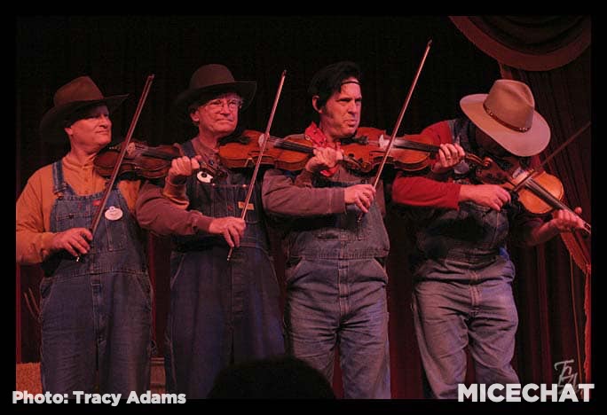, Disneyland Update – Bob Iger and the Wild Frontier
