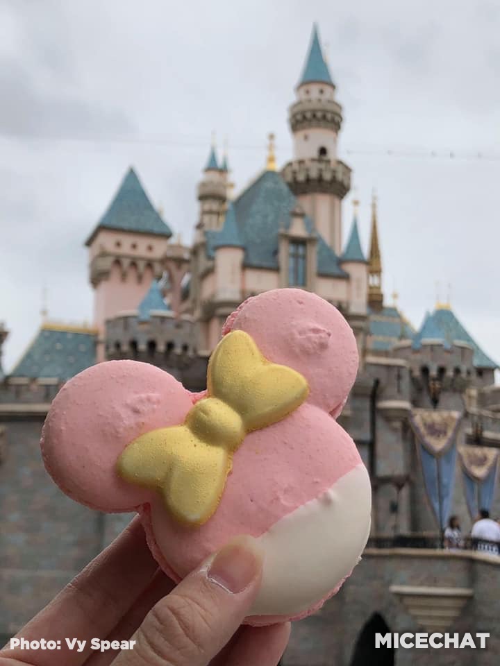 , Disneyland Update Gets High – Above the Parks & When They Could Reopen