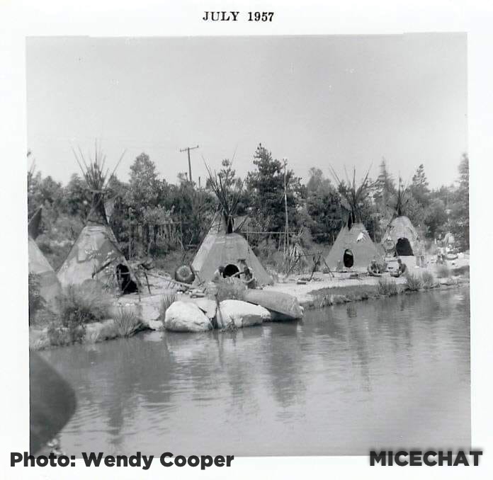 , Disneyland Update – Bob Iger and the Wild Frontier
