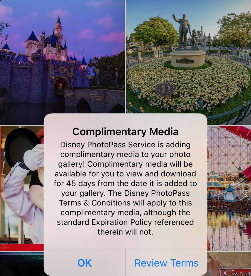, Disneyland Update Gets High – Above the Parks & When They Could Reopen