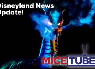 Disneyland Video News Update: Reopening When? Universal Still Building! Small Parks Faltering & More