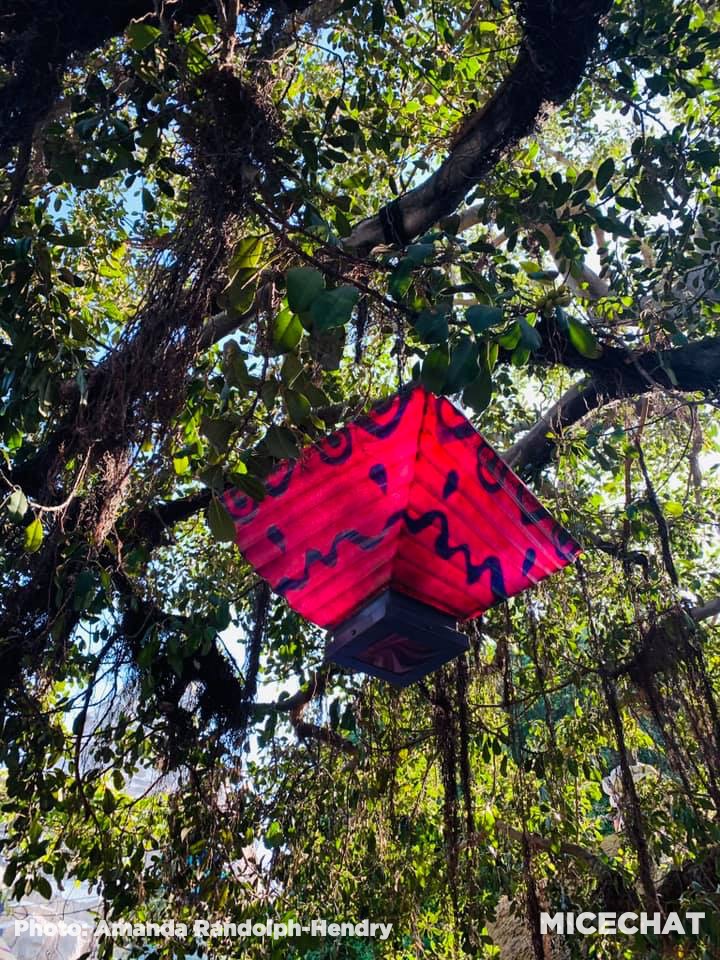 , Disneyland Update – Unrest, Reopenings, Poll Results & Reader Photos