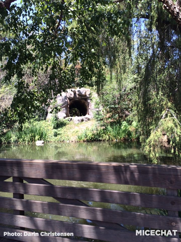 , Disneyland Update – Unrest, Reopenings, Poll Results & Reader Photos