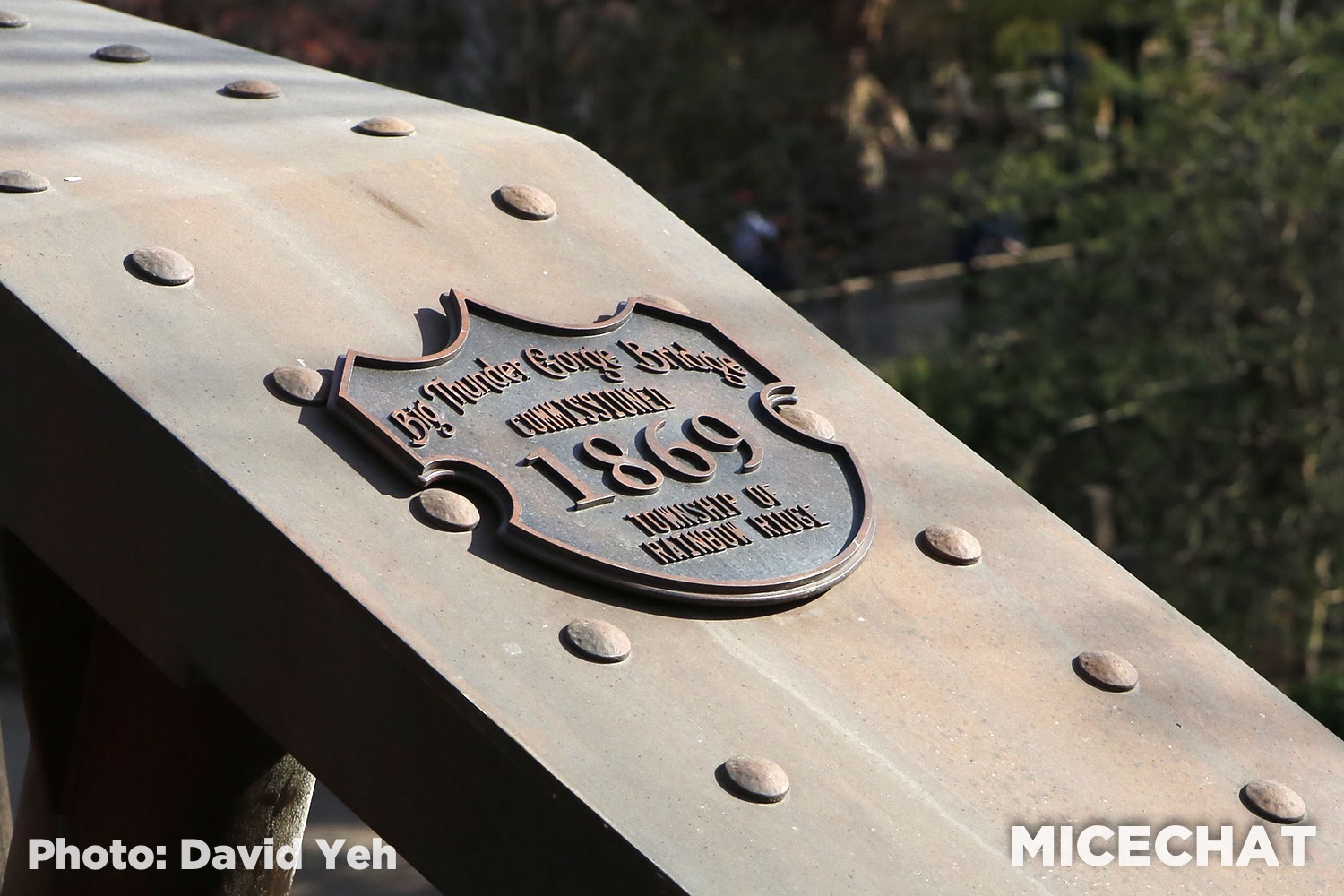 , Disneyland Update – Unrest, Reopenings, Poll Results & Reader Photos