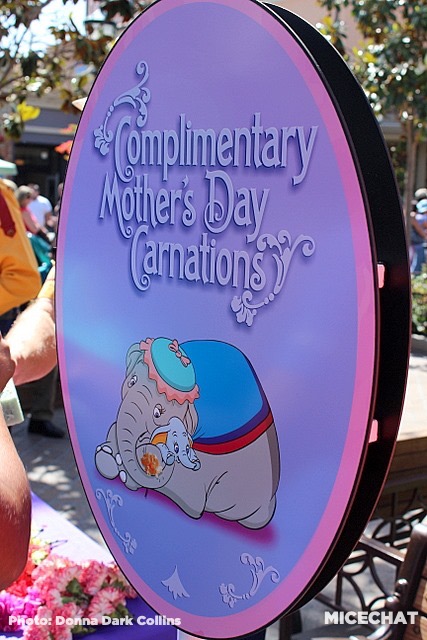 , Disneyland Update – Weeks, Not Months . . .