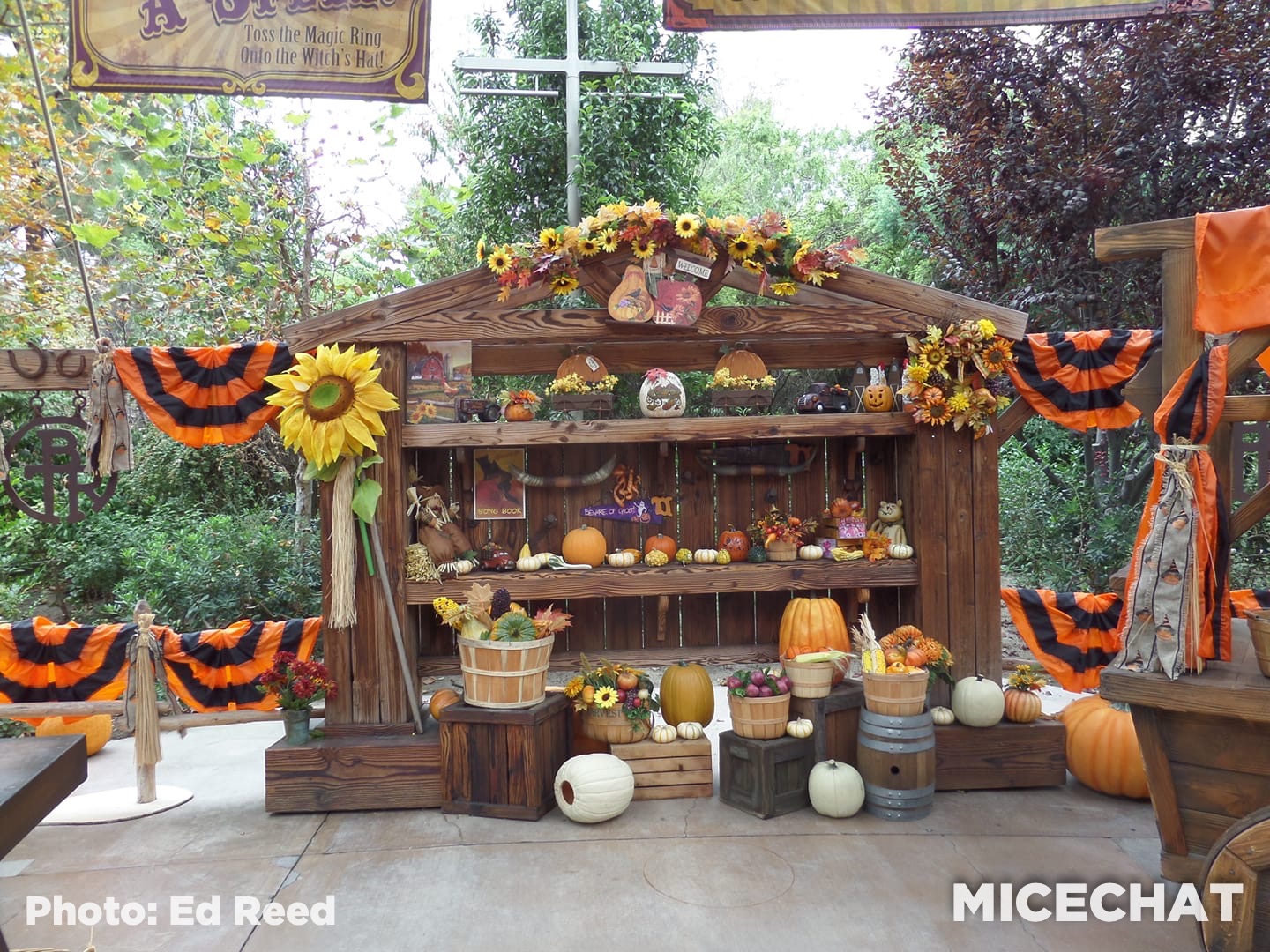 , Disneyland Update – Embracing The Spooky Season