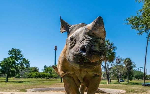 Orlando Area Theme Parks, What’s Open? Reopening Guide For Orlando Area Theme Parks!