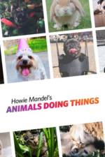 Howie-Mandel-Animals-Doing-Things
