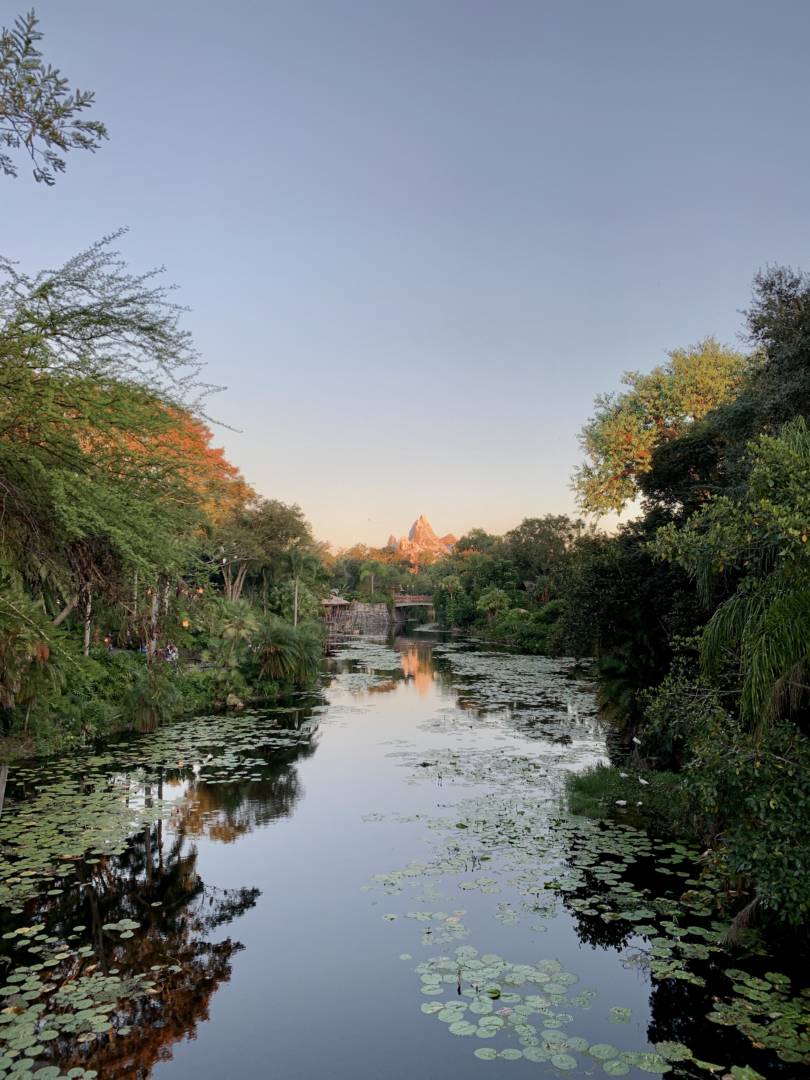 , Disney World Update: Everything We Know About the Reopening of the Parks