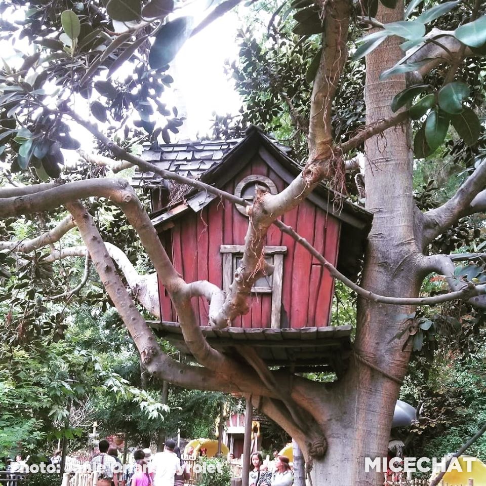 , Disneyland Update – Unrest, Reopenings, Poll Results & Reader Photos