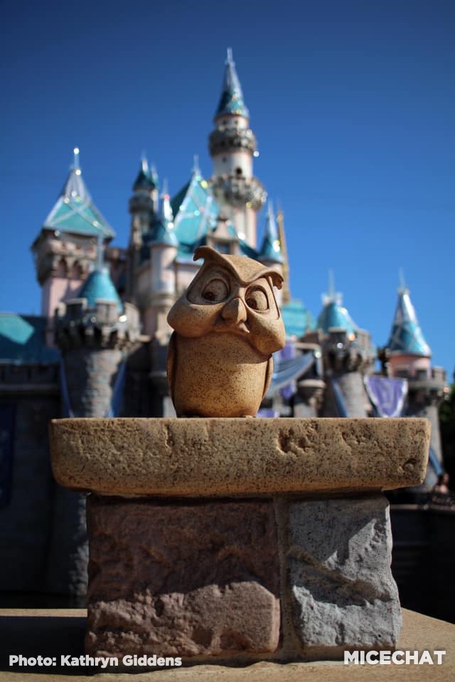 , Disneyland Update – Unrest, Reopenings, Poll Results & Reader Photos