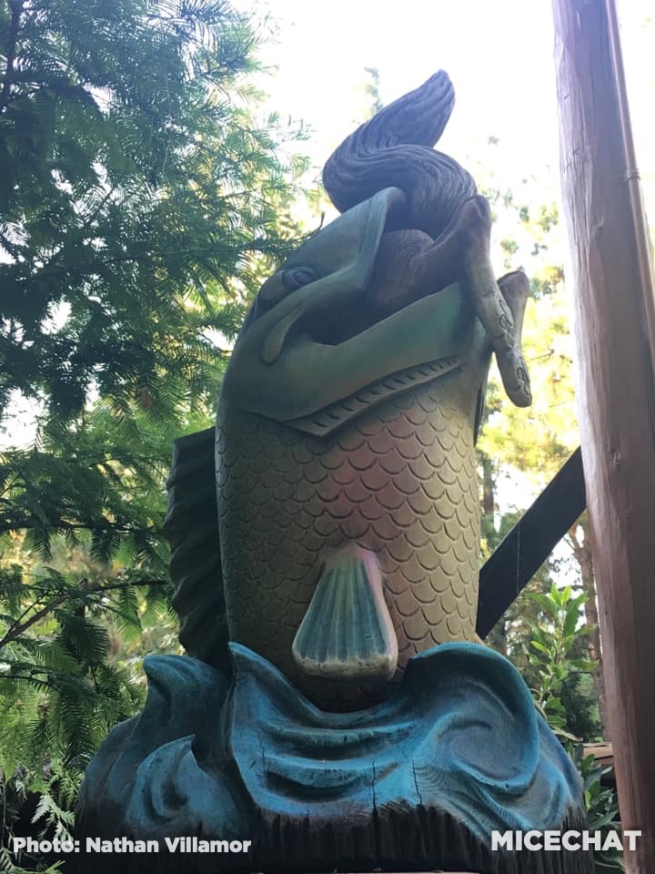 , Disneyland Update – Unrest, Reopenings, Poll Results & Reader Photos