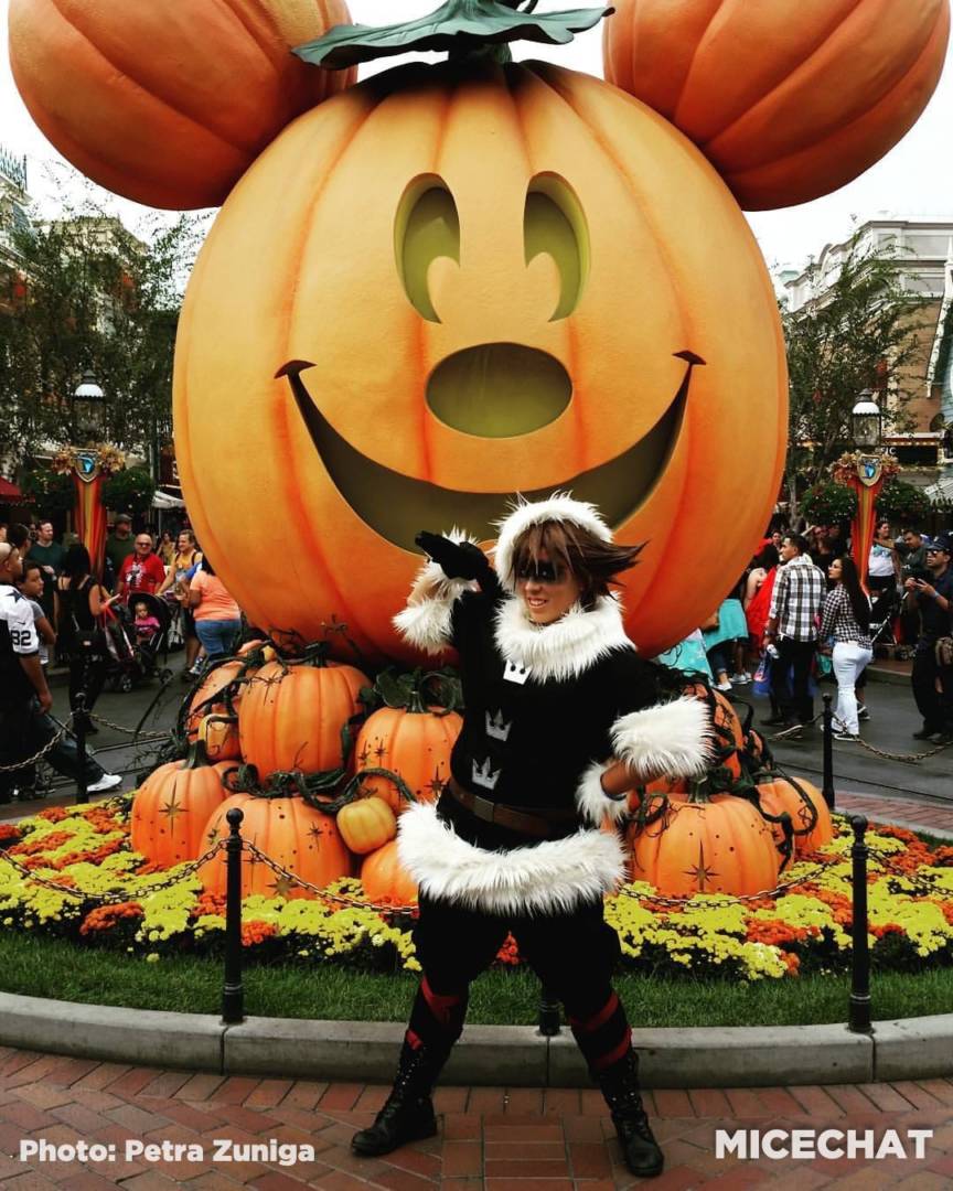 , Disneyland Update &#8211; Embracing The Spooky Season