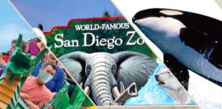 , Disney Park Closures & Breaking News