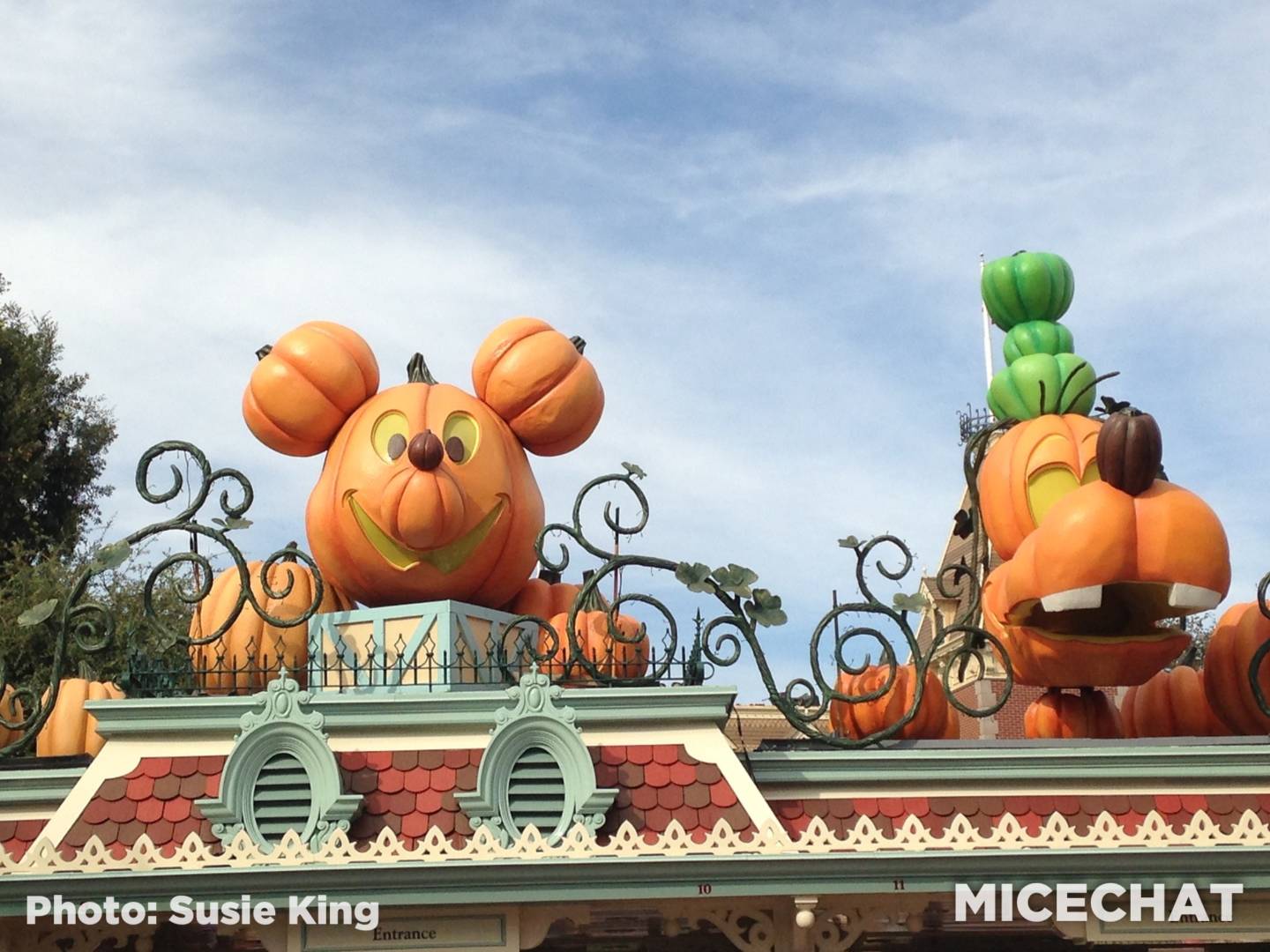 , Disneyland Update &#8211; Embracing The Spooky Season