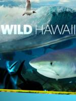 Wild-Hawaii