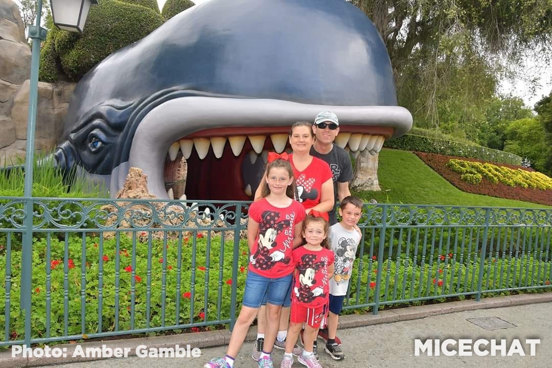 , Disneyland Update – Delays! Cancelations! Frustration!