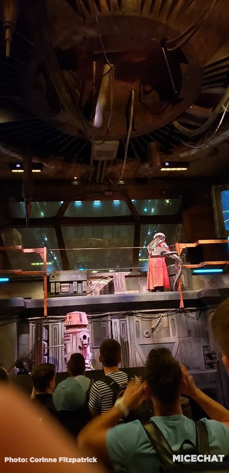 , Disneyland Update – Delays! Cancelations! Frustration!