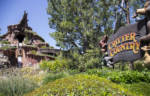 Critter-Country-sign