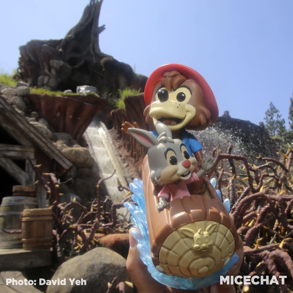 , Disneyland Update! Splash Down, Closures & New Aerial Photos
