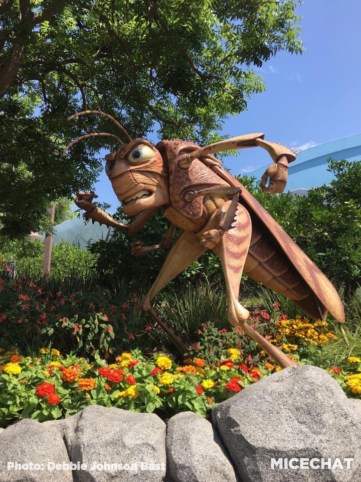 , Disneyland Update – Rumors, Reopenings, and Renewal