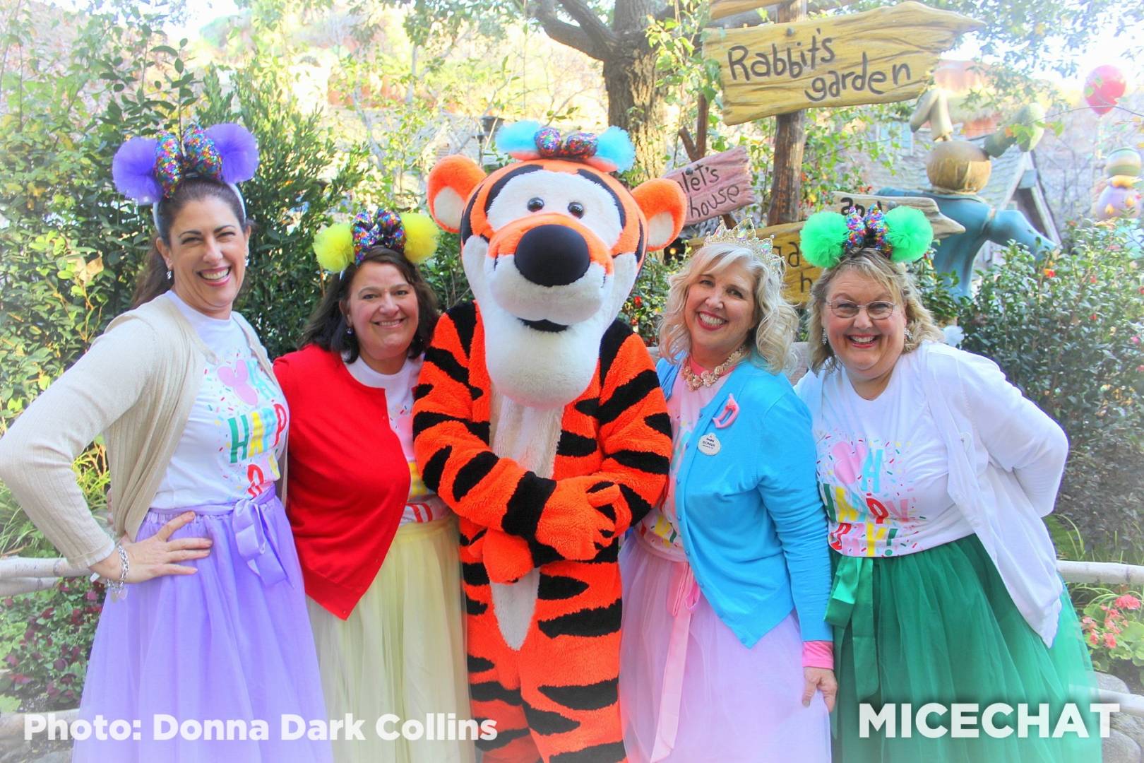 , Disneyland Update! Splash Down, Closures & New Aerial Photos