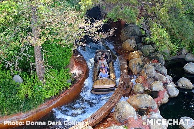 , Disneyland Update – Rumors, Reopenings, and Renewal