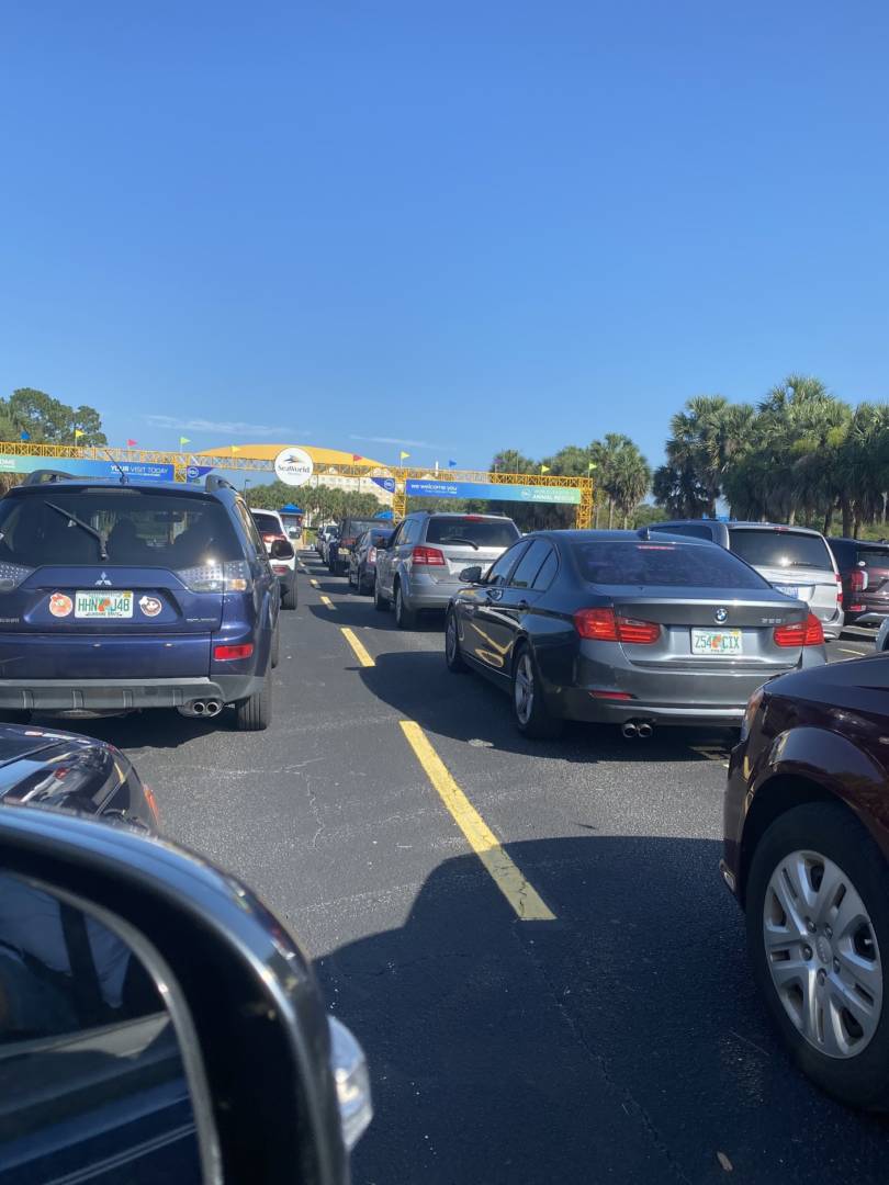 SeaWorld Reopening, Diving into SeaWorld Orlando on Reopening Day