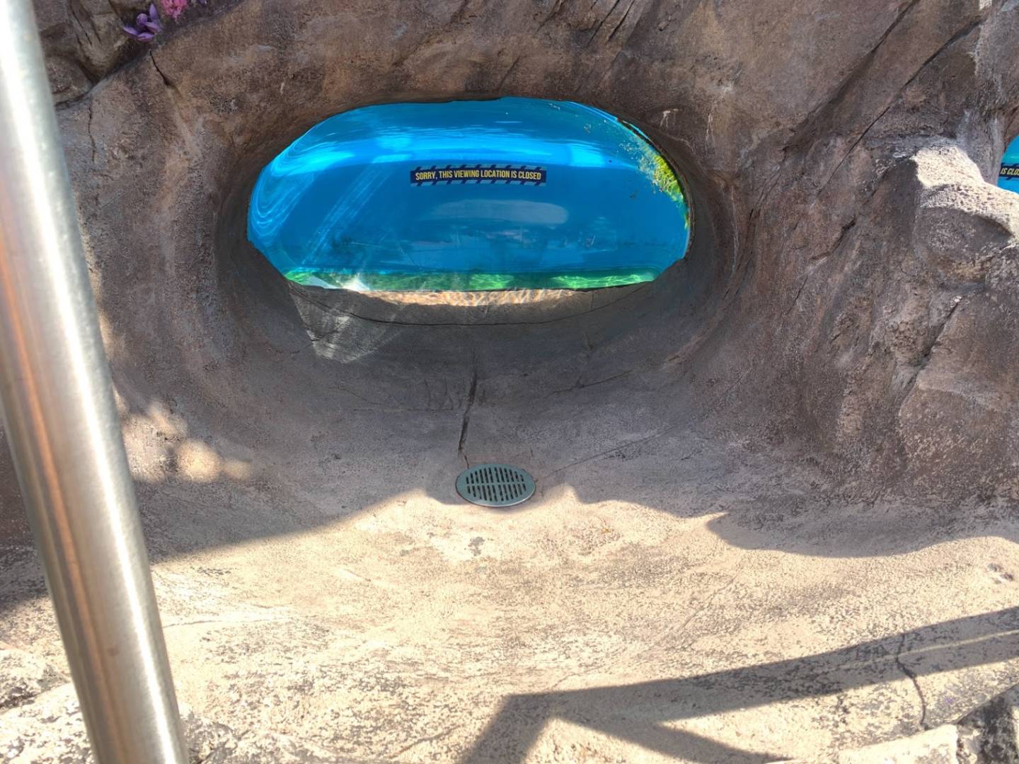 SeaWorld Reopening, Diving into SeaWorld Orlando on Reopening Day