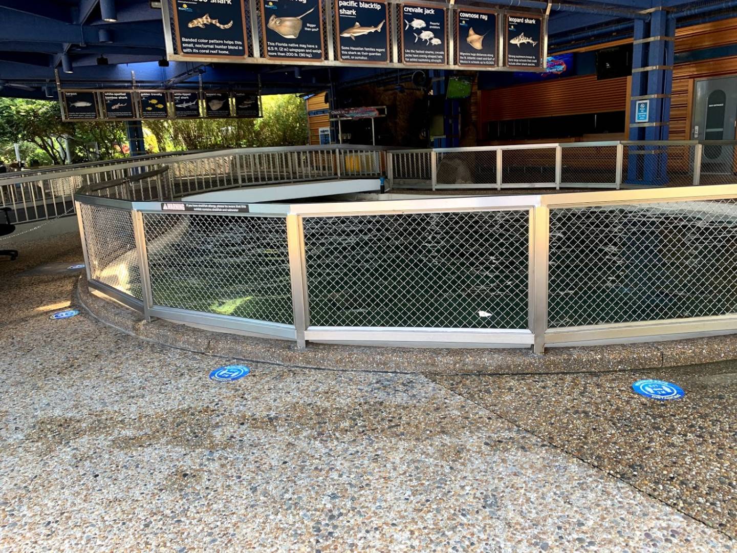 SeaWorld Reopening, Diving into SeaWorld Orlando on Reopening Day