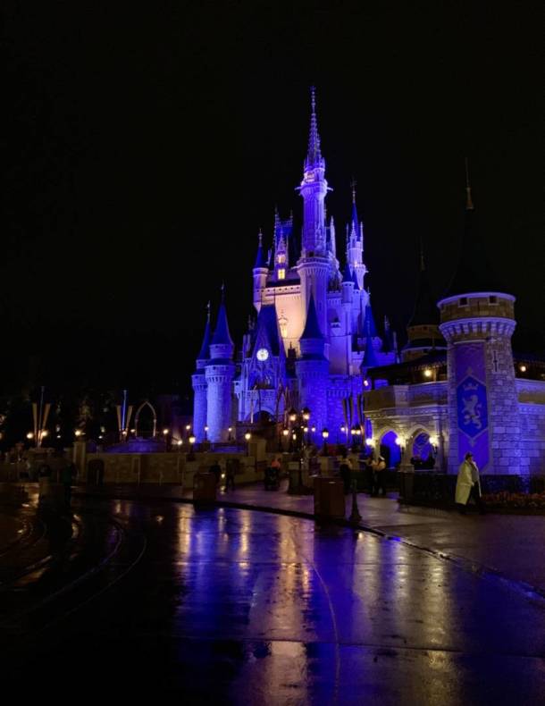 , Disney World Attractions Update & Free Month for Annual Passholders