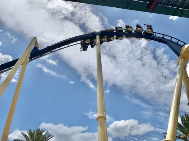 , The Wild Side: Checking In On Busch Gardens Tampa